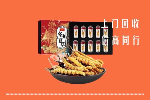 湖口县回收虫草